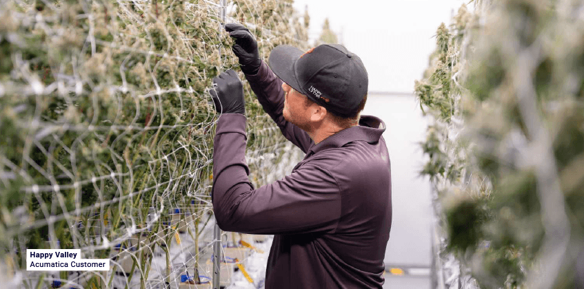 Saisir les opportunités de croissance : Comment les solutions ERP complètes peuvent aider les entreprises émergentes du secteur du cannabis